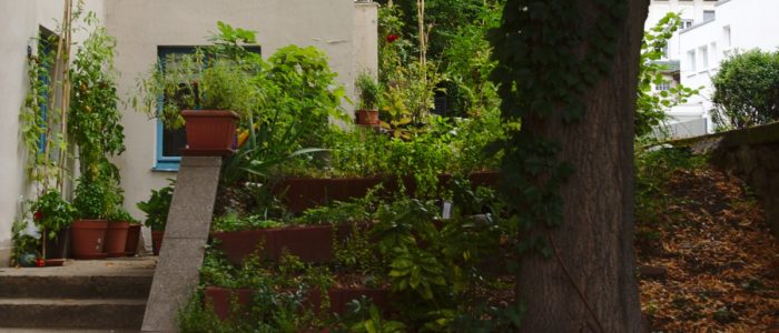 Garten